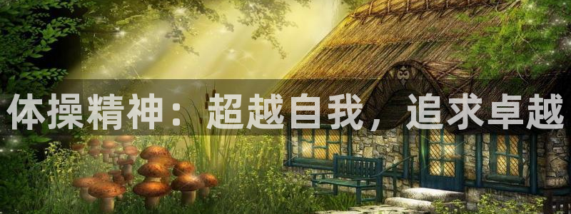 oety欧亿体育官网下载招商电话号码:体操精神:超越自我,追